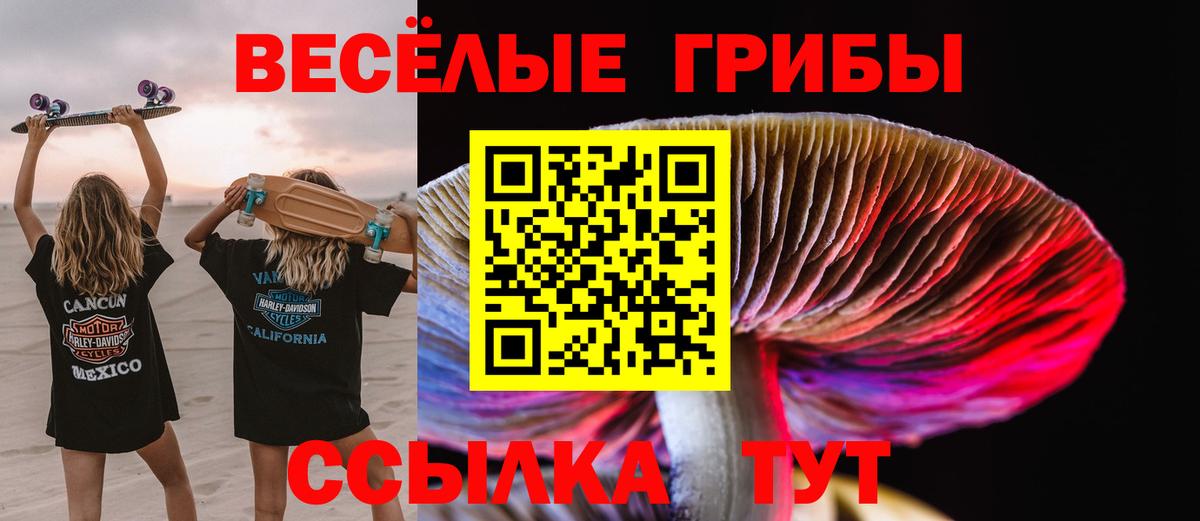 Псилоцибиновые грибы MAGIC MUSHROOMS Серов